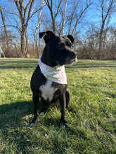 Load image into Gallery viewer, Scrunchie Pet Bandana - Purple + Cream
